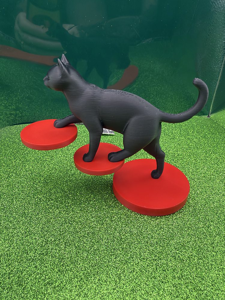 Black cat balancing on red printed discs